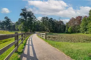 117 Homesite Saddle Dr, Senoia, GA 30276 - Photo 38