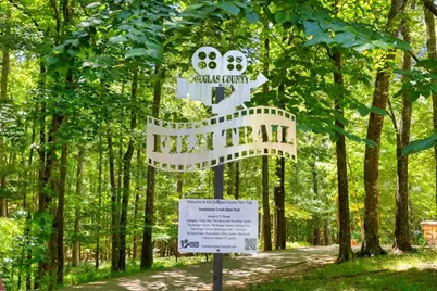 2861 Lillian Lane, Douglasville, GA 30135 - Photo 44