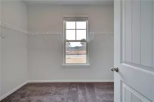 166 Haverling Pass, Hampton, GA 30228 - Photo 10