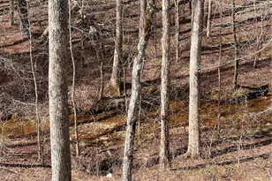 269 Grand Cir, Jasper, GA 30143 - Photo 40