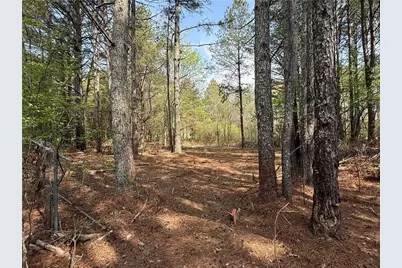 265 W Union Grove Circle, Auburn, GA 30011 - Photo 2
