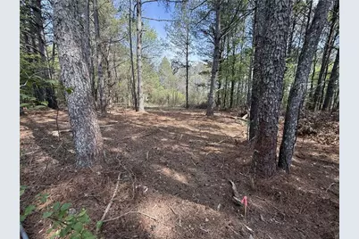 265 W Union Grove Circle, Auburn, GA 30011 - Photo 4