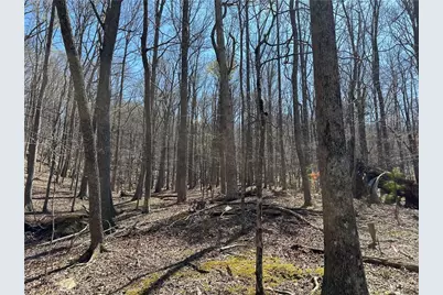 Lt2340 Tamarack Drive, Jasper, GA 30143 - Photo 6