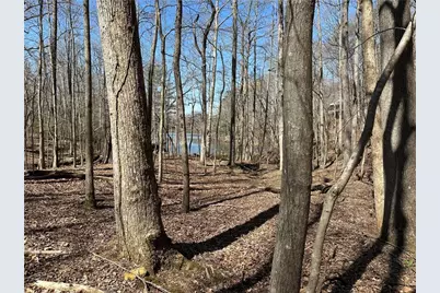 Lt2340 Tamarack Drive, Jasper, GA 30143 - Photo 8