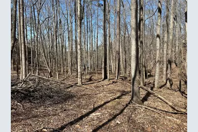 Lt2340 Tamarack Drive, Jasper, GA 30143 - Photo 10