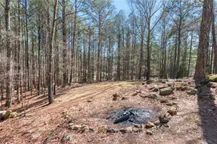 10 Clydesdale Trail, White, GA 30184 - Photo 90