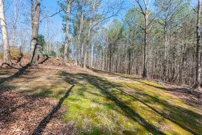 10 Clydesdale Trail, White, GA 30184 - Photo 86