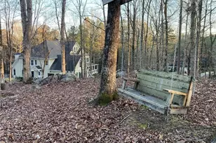 10 Clydesdale Trail, White, GA 30184 - Photo 66