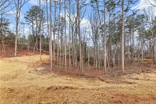 7668 Pea Ridge Rd, Lula, GA 30554 - Photo 36