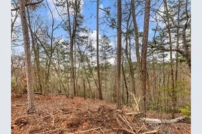 7668 Pea Ridge Road, Lula, GA 30554 - Photo 32