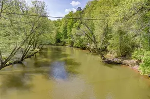 313 Muffle Ct, Ellijay, GA 30540 - Photo 76