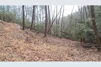 0 Bahn Innsbruck, Helen, GA 30545 - Photo 26