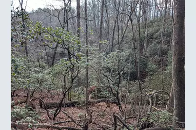 0 Bahn Innsbruck, Helen, GA 30545 - Photo 10