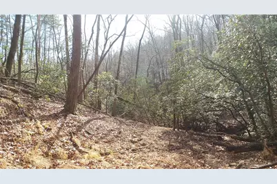 0 Bahn Innsbruck, Helen, GA 30545 - Photo 32