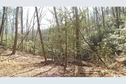 0 Bahn Innsbruck, Helen, GA 30545 - Photo 30