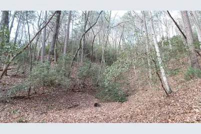 0 Bahn Innsbruck, Helen, GA 30545 - Photo 28