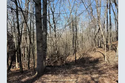 62 Miners Place, Dahlonega, GA 30533 - Photo 1