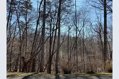 62 Miners Place, Dahlonega, GA 30533 - Photo 4