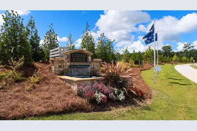 349 Arnica Drive, Locust Grove, GA 30248 - Photo 46