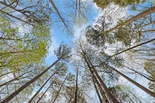 118 Little Ridge Rd, Berkeley Lake, GA 30096 - Photo 40