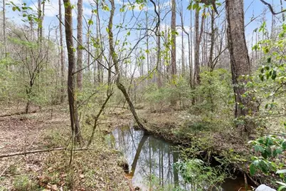 962 Watkins Field Road, Clayton, GA 30525 - Photo 54