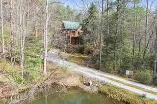 962 Watkins Field Rd, Clayton, GA 30525 - Photo 62