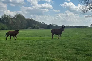 80 Potash Rd, Cedartown, GA 30125 - Photo 48