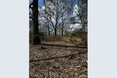 80 Potash Road, Cedartown, GA 30125 - Photo 38