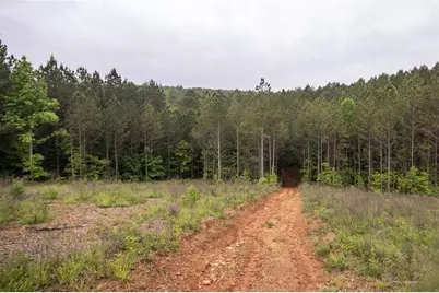 0 Hidden Creek Road, Jasper, GA 30143 - Photo 2
