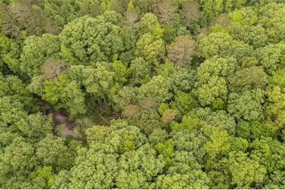 0 Hidden Creek Road, Jasper, GA 30143 - Photo 10