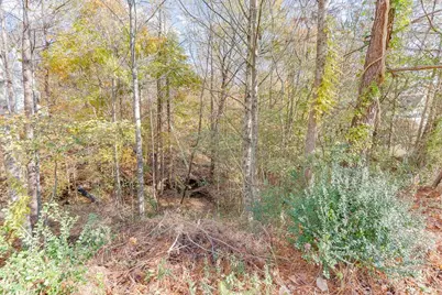 5137 Yellow Stone Drive, Flowery Branch, GA 30542 - Photo 6