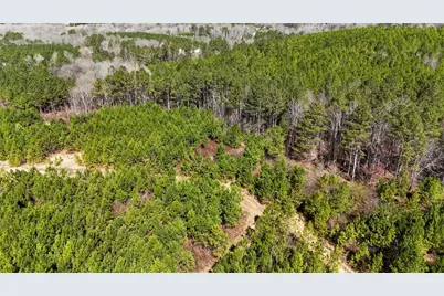 0 Highway 100, Summerville, GA 30747 - Photo 8