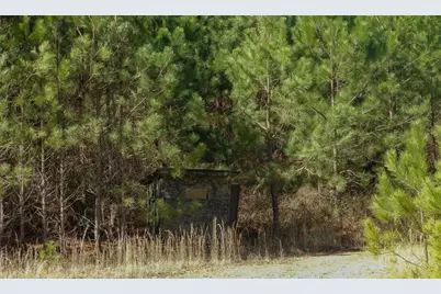 0 Highway 100, Summerville, GA 30747 - Photo 16