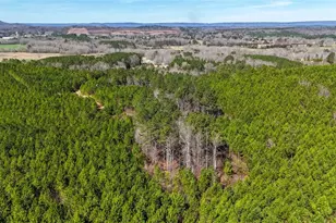 0 Hwy 100, Summerville, GA 30747 - Photo 1