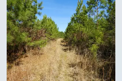 0 Highway 100, Summerville, GA 30747 - Photo 18