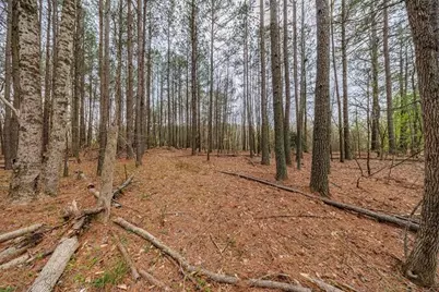 13585 Arnold Mill Road, Milton, GA 30075 - Photo 4