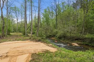 1100 Soap Creek Rd, Ball Ground, GA 30107 - Photo 4