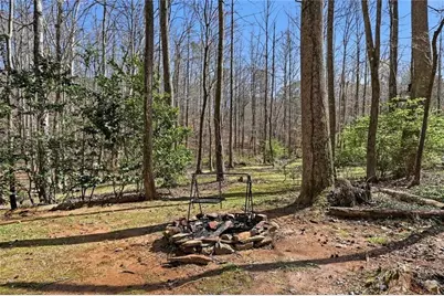 118 Jordan Lane, Talking Rock, GA 30175 - Photo 38