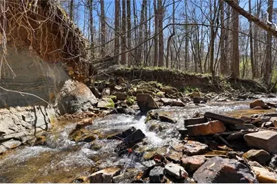 118 Jordan Lane, Talking Rock, GA 30175 - Photo 34