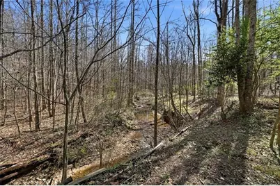 118 Jordan Lane, Talking Rock, GA 30175 - Photo 40