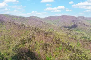 761 Clayton Gooch Rd, Dahlonega, GA 30533 - Photo 38