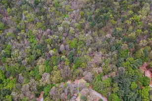 761 Clayton Gooch Rd, Dahlonega, GA 30533 - Photo 44