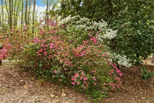 761 Clayton Gooch Rd, Dahlonega, GA 30533 - Photo 34