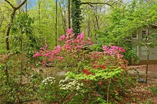 761 Clayton Gooch Rd, Dahlonega, GA 30533 - Photo 40