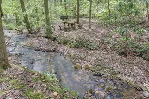 761 Clayton Gooch Rd, Dahlonega, GA 30533 - Photo 4