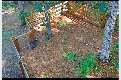 225 Overlook Circle, Clarkesville, GA 30523 - Photo 20