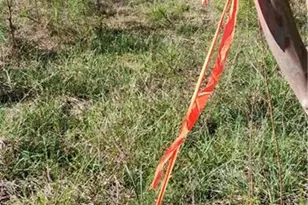 000 Lower Mill Rd, Crawfordville, GA 30631 - Photo 2