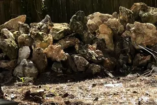 1215 Masters Ln, Snellville, GA 30078 - Photo 26