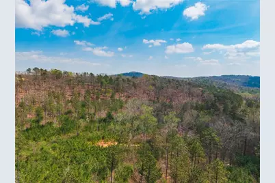 84 Bridle Path Drive, Ball Ground, GA 30107 - Photo 32