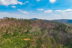 84 Bridle Path Dr, Ball Ground, GA 30107 - Photo 32